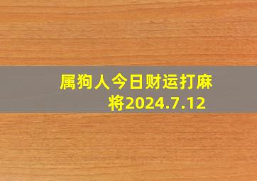 属狗人今日财运打麻将2024.7.12