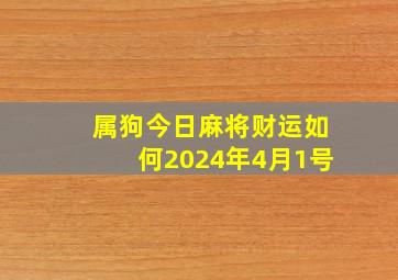 属狗今日麻将财运如何2024年4月1号