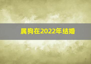 属狗在2022年结婚