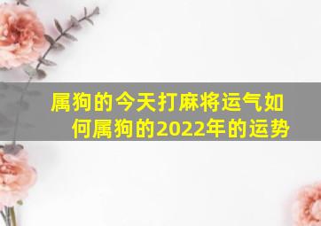 属狗的今天打麻将运气如何属狗的2022年的运势