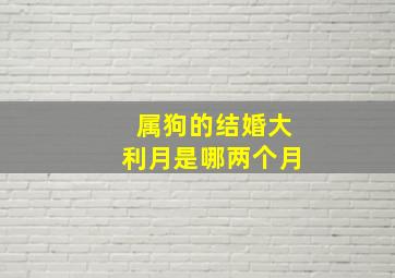 属狗的结婚大利月是哪两个月