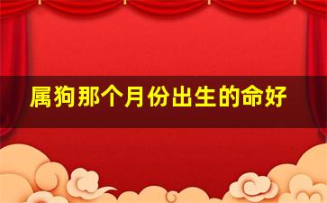 属狗那个月份出生的命好