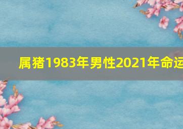 属猪1983年男性2021年命运