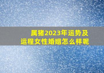 属猪2023年运势及运程女性婚姻怎么样呢