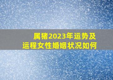 属猪2023年运势及运程女性婚姻状况如何