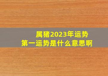 属猪2023年运势第一运势是什么意思啊