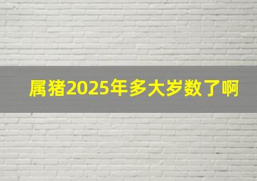 属猪2025年多大岁数了啊