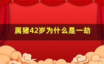 属猪42岁为什么是一劫