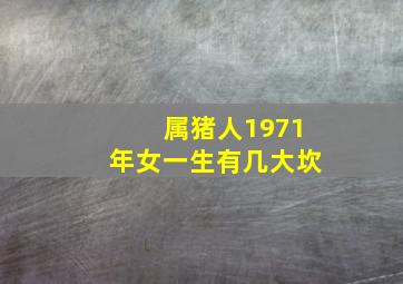 属猪人1971年女一生有几大坎