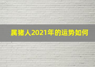 属猪人2021年的运势如何