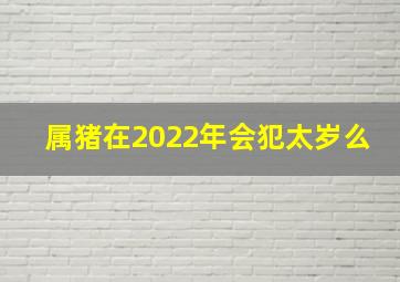 属猪在2022年会犯太岁么