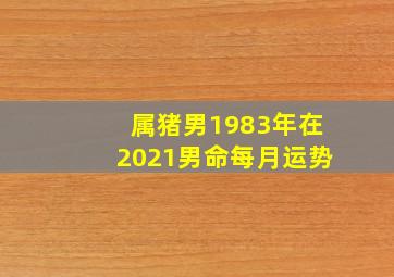 属猪男1983年在2021男命每月运势