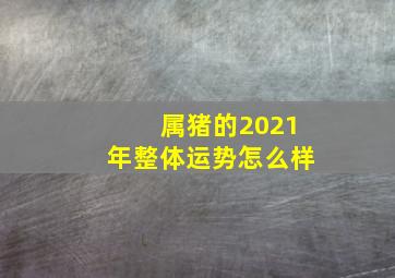 属猪的2021年整体运势怎么样