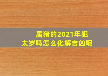 属猪的2021年犯太岁吗怎么化解吉凶呢