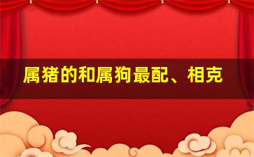 属猪的和属狗最配、相克