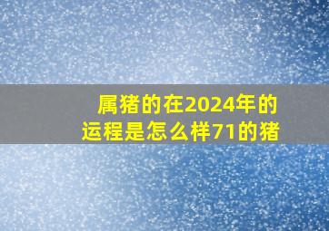 属猪的在2024年的运程是怎么样71的猪