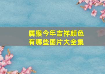 属猴今年吉祥颜色有哪些图片大全集