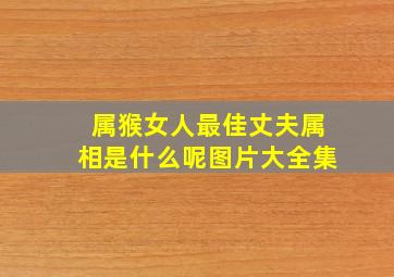 属猴女人最佳丈夫属相是什么呢图片大全集