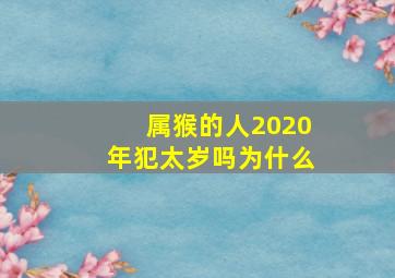 属猴的人2020年犯太岁吗为什么