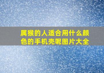 属猴的人适合用什么颜色的手机壳呢图片大全