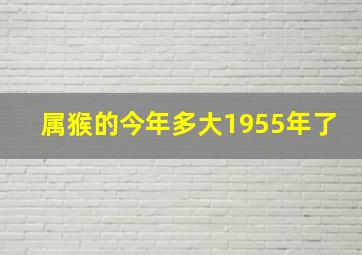 属猴的今年多大1955年了