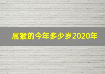 属猴的今年多少岁2020年