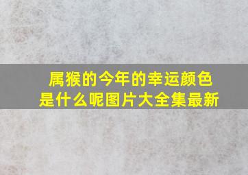 属猴的今年的幸运颜色是什么呢图片大全集最新