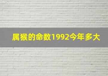 属猴的命数1992今年多大