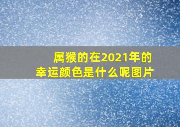 属猴的在2021年的幸运颜色是什么呢图片