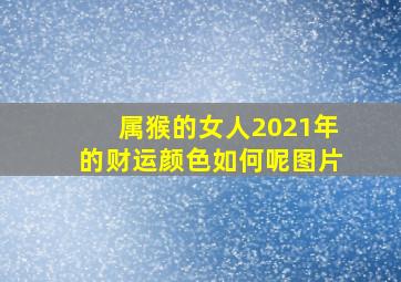 属猴的女人2021年的财运颜色如何呢图片