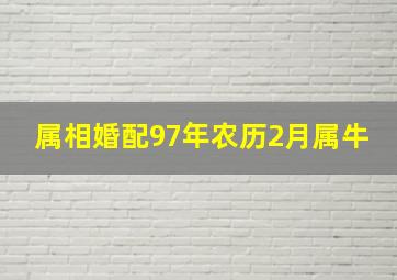 属相婚配97年农历2月属牛