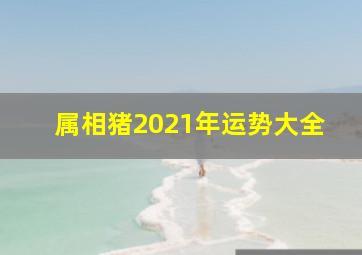 属相猪2021年运势大全