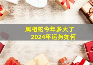 属相蛇今年多大了2024年运势如何