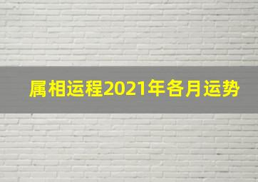 属相运程2021年各月运势