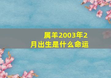 属羊2003年2月出生是什么命运