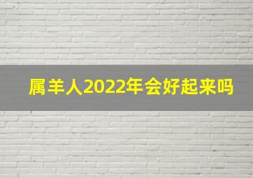 属羊人2022年会好起来吗