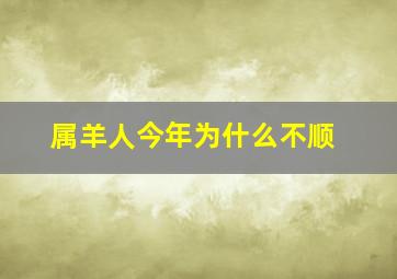 属羊人今年为什么不顺