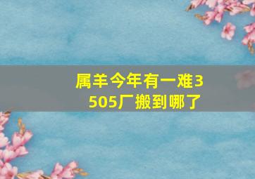 属羊今年有一难3505厂搬到哪了