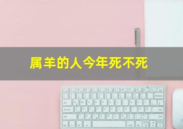 属羊的人今年死不死