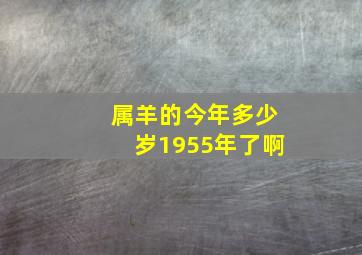 属羊的今年多少岁1955年了啊