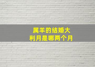 属羊的结婚大利月是哪两个月