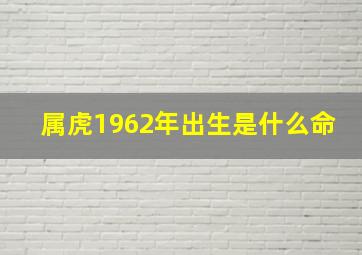 属虎1962年出生是什么命