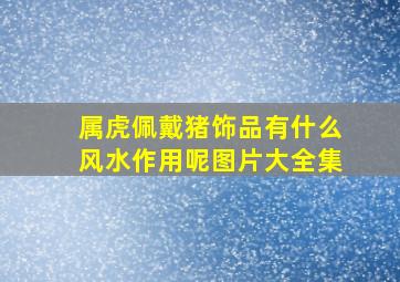 属虎佩戴猪饰品有什么风水作用呢图片大全集