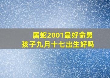 属蛇2001最好命男孩子九月十七出生好吗