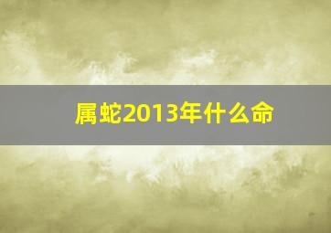 属蛇2013年什么命