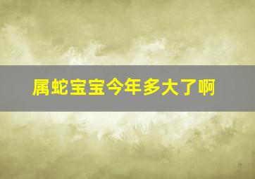 属蛇宝宝今年多大了啊