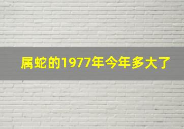 属蛇的1977年今年多大了