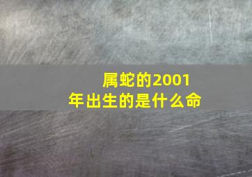 属蛇的2001年出生的是什么命