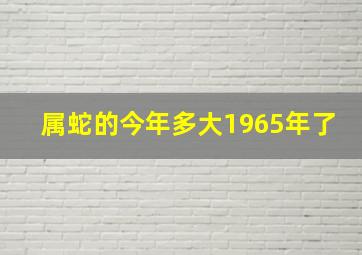 属蛇的今年多大1965年了