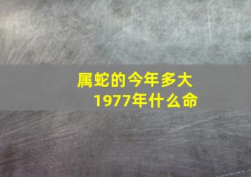 属蛇的今年多大1977年什么命